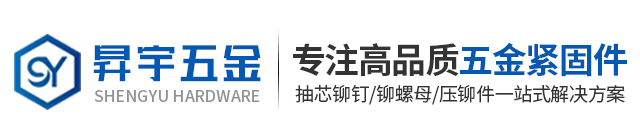 东莞市昇宇五金紧固件有限公司